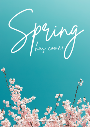 [봄 시즌한정🌸]Spring has come!