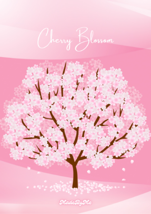 [봄 시즌한정🌸] Cherry Blossom