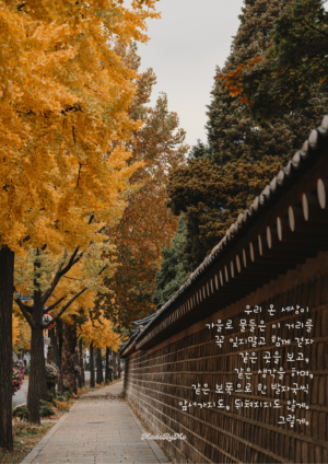 가을시즌🍁 데칼코마니