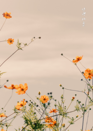 가을시즌🍁안녕, 가을